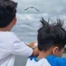 위드힐 펜션 이미지