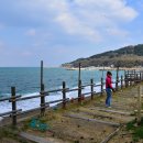 호미반도해안둘레길 이미지