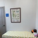 서울으뜸소아청소년과의원 이미지