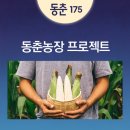 동춘농장 이미지