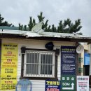 장수읍 실미식당 앞 | [인천] 바다 앞 캠핑, 갯벌체험까지! 인천 실미유원지 완벽 가이드