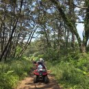 와이키키펜션 이미지