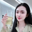 민트사이다 | 🍋 [봄] 상큼 청량함의 끝판왕! 라이몬 프레쉬 탄산음료 오리지널 민트 솔직 후기