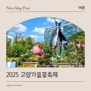 호수공원 2주차장옆 | 일산 아이와 가볼만한 곳, 일산호수공원 고양가을꽃축제 방문 후기