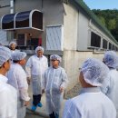 혜숙농장 이미지