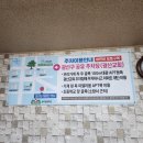 오리와생태의만남 이미지