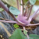 서주농장 이미지