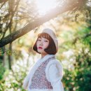 비자림의 아침 이미지