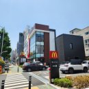 마산 석전동 맥도날드 신메뉴 뉴 1955 스낵랩 후기