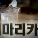 신가네김밥 - 은평구 진흥로1길 17 | 신가네김밥