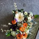 더 올림(The Ollim) 이미지