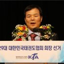 용인대 대한태권도 이미지