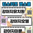 킹스유치원 이미지