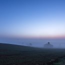 여명목장 이미지