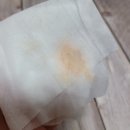 해성동물병원 | 강아지 혈뇨, 결석, 방광염 한 달 치료 후기 (용인 해성동물병원)