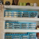 안경스타안경원 이미지