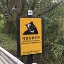 섬진강종주1 이미지