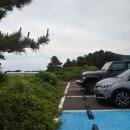 종달리수국길 | 종달리 수국길 6월 7월 제주도 혼자여행코스 추천