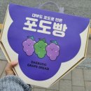 109포도 - 17334 | 109포도