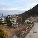 효석문학100리길 제2구간 이미지