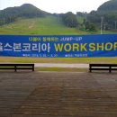 올스본 코리아 이미지