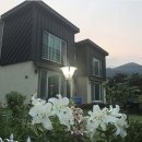 소동아이레 이미지