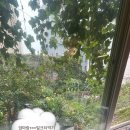 더조은가