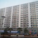 명천중앙길 이미지