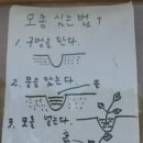 솔영농