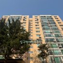 압구정-114 이미지