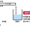 원리 이미지