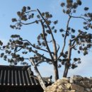 길나들이민박 이미지