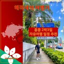 미드멜리호텔 | 홍콩 2박3일 자유여행 일정 추천 짧은 기간 동안 핵심을 맛볼 수 있는 코스 / [우리의 홍콩23: 홍콩]