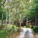 영양초등학교 이미지