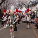 제17회 제천 청풍호 벚꽃축제﻿﻿ 이미지