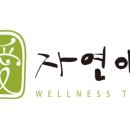 자연애 목이