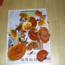 천인농장 이미지