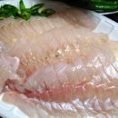 욜로오이소 이미지