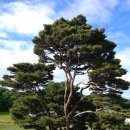 권균묘역 이미지