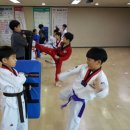 용인대 H 태권도장 이미지