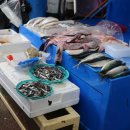 진교중앙길 이미지