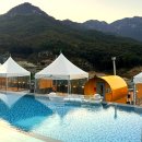 씨유 다산이편한2차점 | 가평 청평 188다산트라풀빌라 가을낭만 추억여행, 188m Pool 빌라 수영,불멍 국내여행