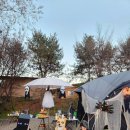 평화강변수목캠핑장 이미지