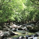 국립유명산자연휴양림 이미지