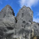 Paparoa track (west coast). 이미지