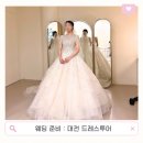 [공지] 대전 드레스투어 후기! 드메리 아이테오, 하우스오브에이미, 더루아 더화이트엘리자베스