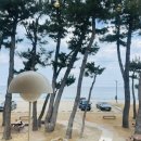 카페21 이미지
