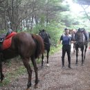 솔향기 맏으며, 산악외승을 다녀왔다. 이미지