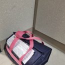 (주)바른마음 | 아기반찬배달 <바른아기반찬> 3월4주차 후기