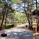 옥계해변남쪽 이미지